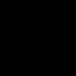 Meet your Posher, Dylan